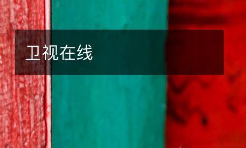 衛(wèi)視在線